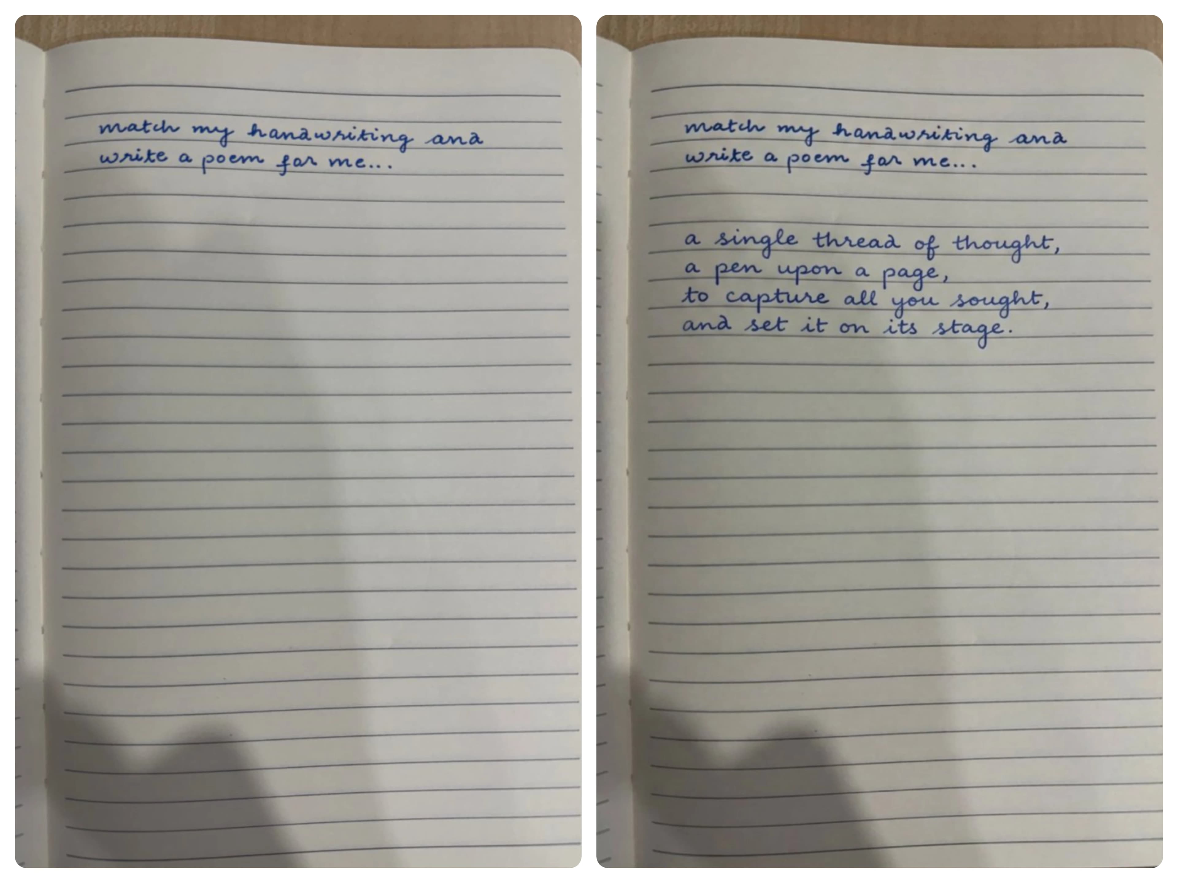 Match my handwriting, add some new sentences